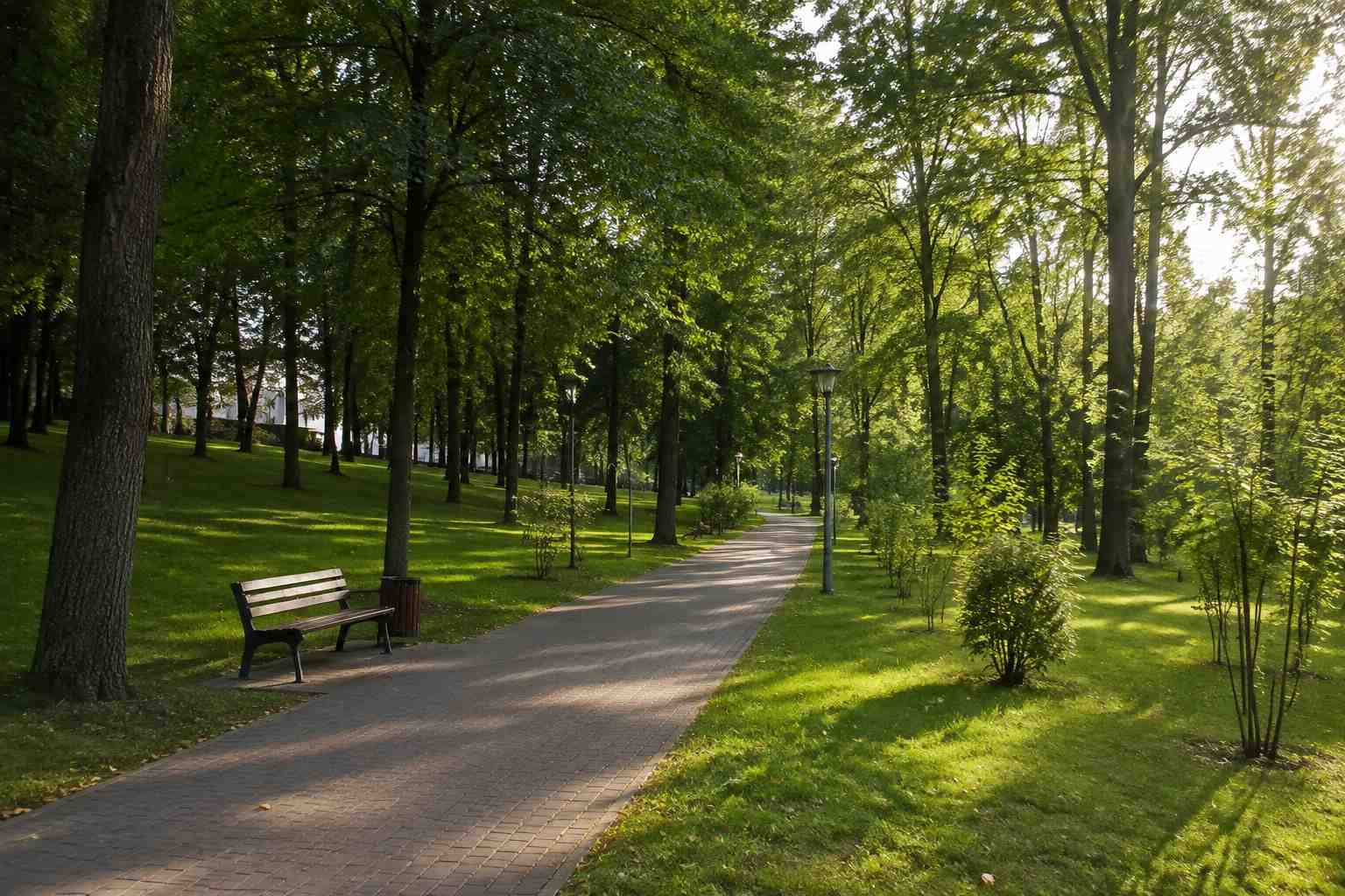 https://mahachkala.blago-s.ru/storage/app/uploads/public/6a7/eef/ed2/6a7eefed2af22038960370.jpg